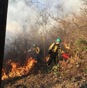 Meet your Posher, Kurt